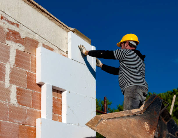 Best Residential Insulation in Brisbane, CA
