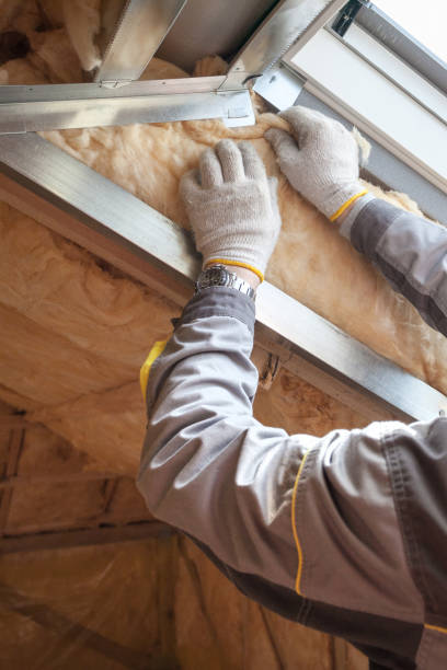 Best Specialized Insulation Services in Brisbane, CA