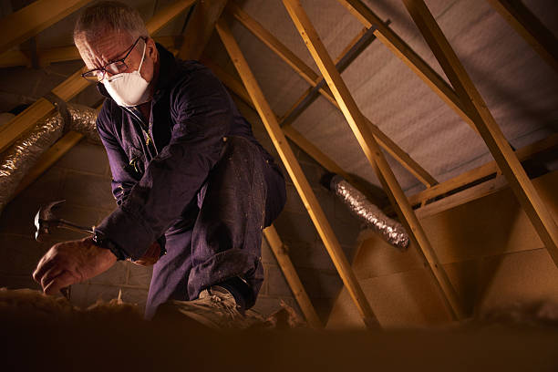 Best DIY Insulation Kits and Guidance in Brisbane, CA