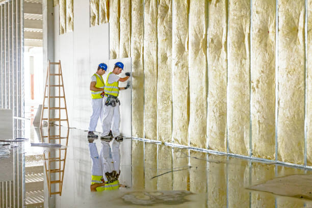 Types of Insulation We Offer in Brisbane, CA